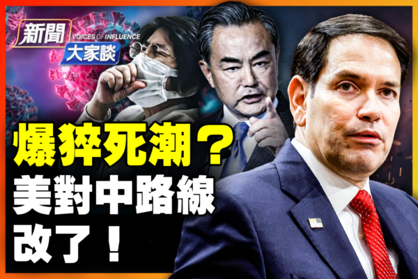 马来西亚羽