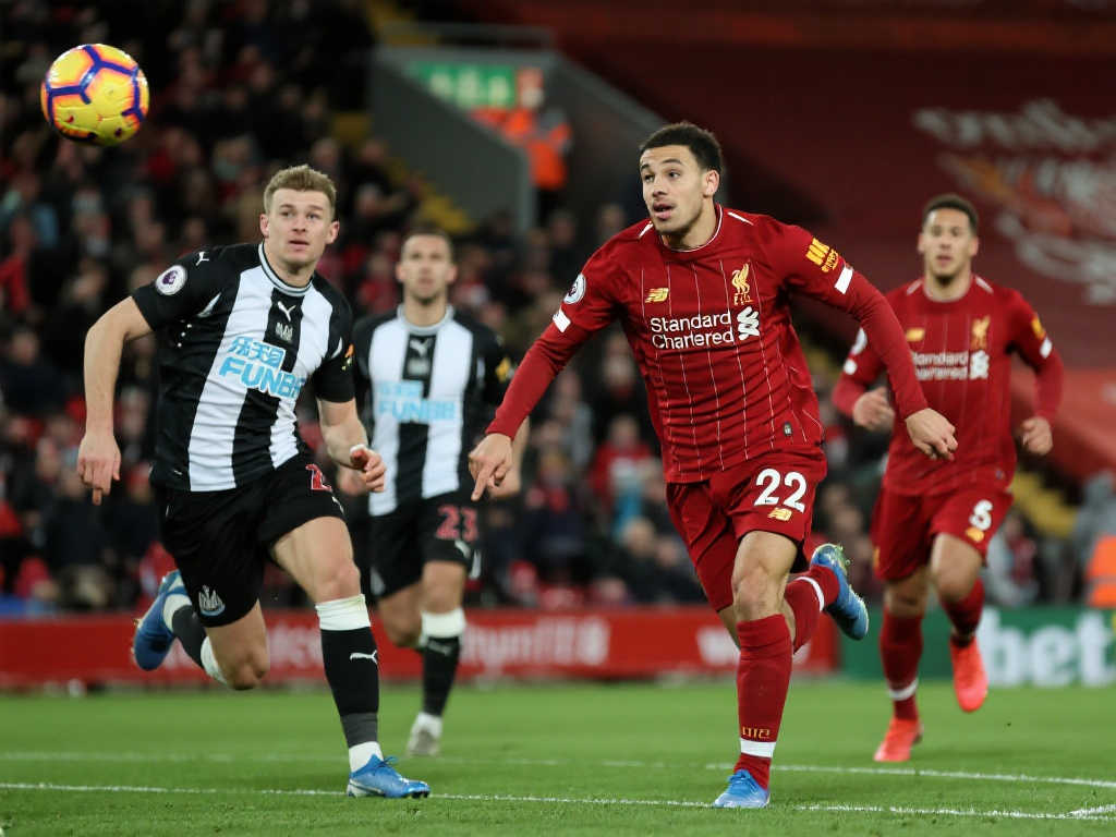 逐渐绽放光 逐渐绽放光